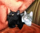Tomas und Valentina
