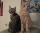 Daniel und Pinky