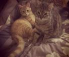 Angel & Alen