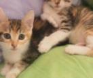 Mel und Finchen