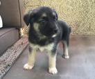 Parker