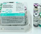 Purevax RCP