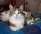 Sanna und Enna