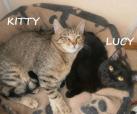 Kitty & Lucy